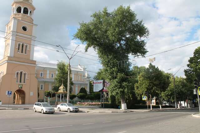 Апартаменты Studio on main street Бельцы-13